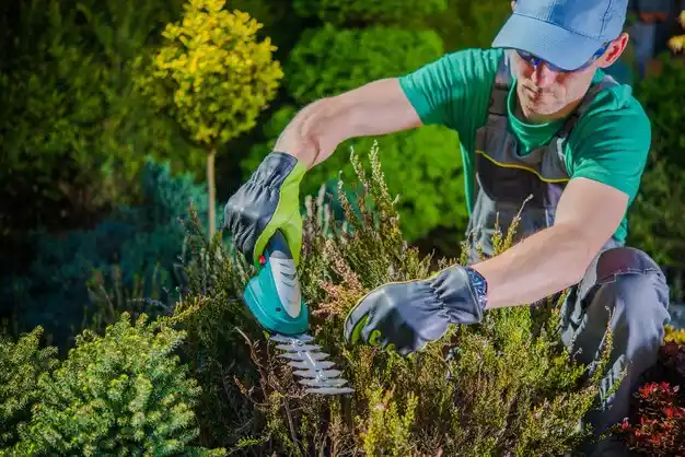 landscaping services Benzonia